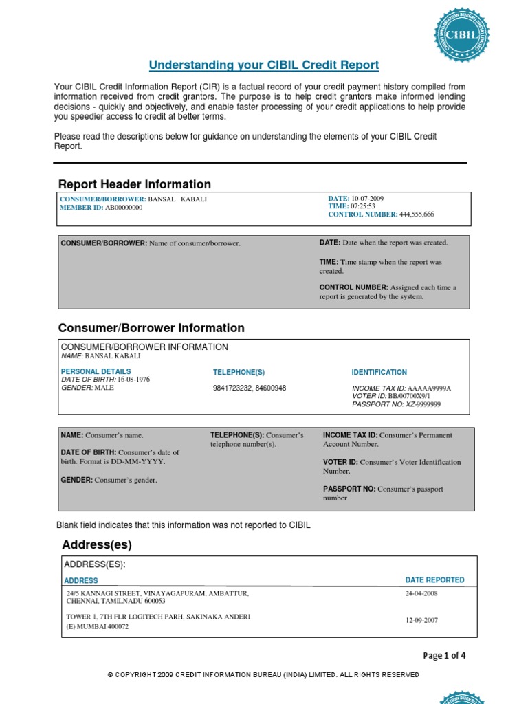 Understanding Your CIBIL CIR | PDF
