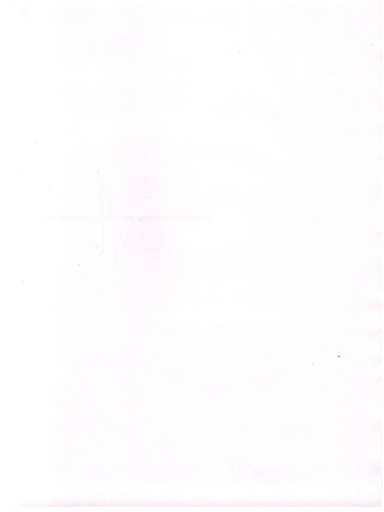 Blank Paper | PDF
