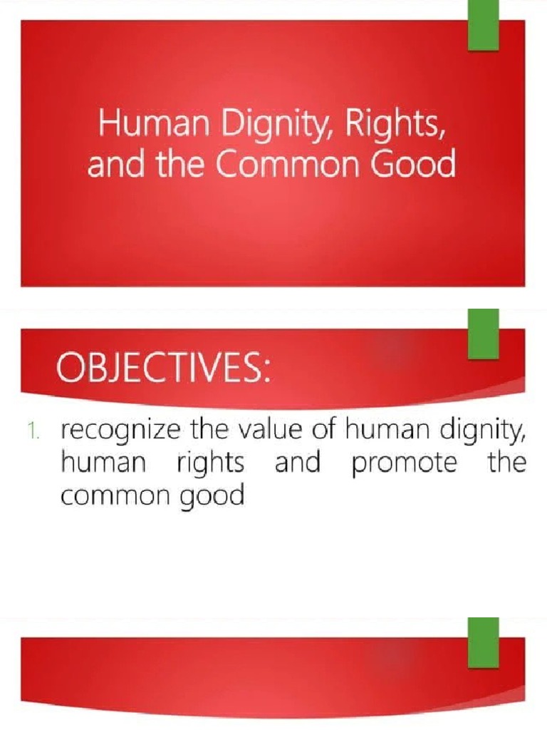 Human Dignity Rights and The Common Good PDF
