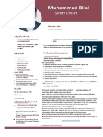 Professional CV PDF