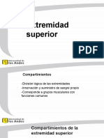 Extremidad Superior - 2023-02