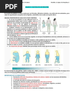 Escala de Kramer Modificada para Ictericia | PDF