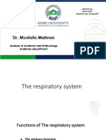 Respiratory System