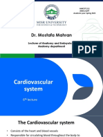 Cardiovascular System and Lymphatic