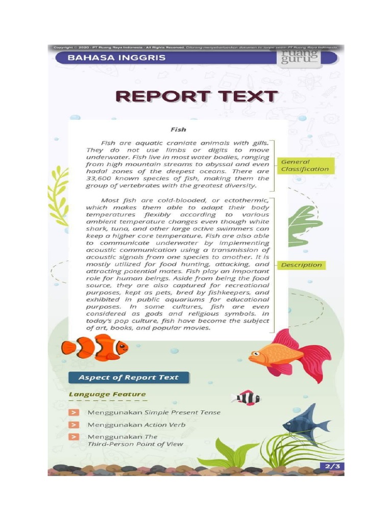 Report Text | PDF