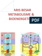 6.METABOLISME Baru