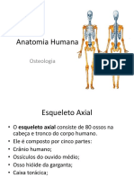 Aula 3 Osteologia