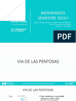 SEMANA 5 - Carbohidratos Vía Pentosas, Glucogenesisi, Glucolisis