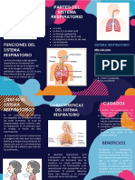 Sistema Respiratorio Final