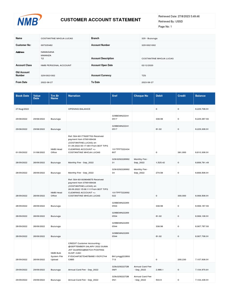 Customer Account Statement for Costantine Mhoja Lucas | PDF | Debits ...
