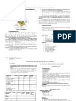 Roteiro Da Aula de Quimica e Funcionalidade Das Substâncias Quimicas