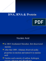 Bio 103 L 5 Dna Rna - Protein F