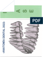 GUÍA PRÁCTICA EMBRIOLOGIA FASE 3