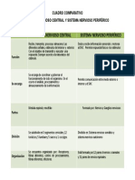 Cuadro Comparativo Sistema Nervioso Central y Periferico 3