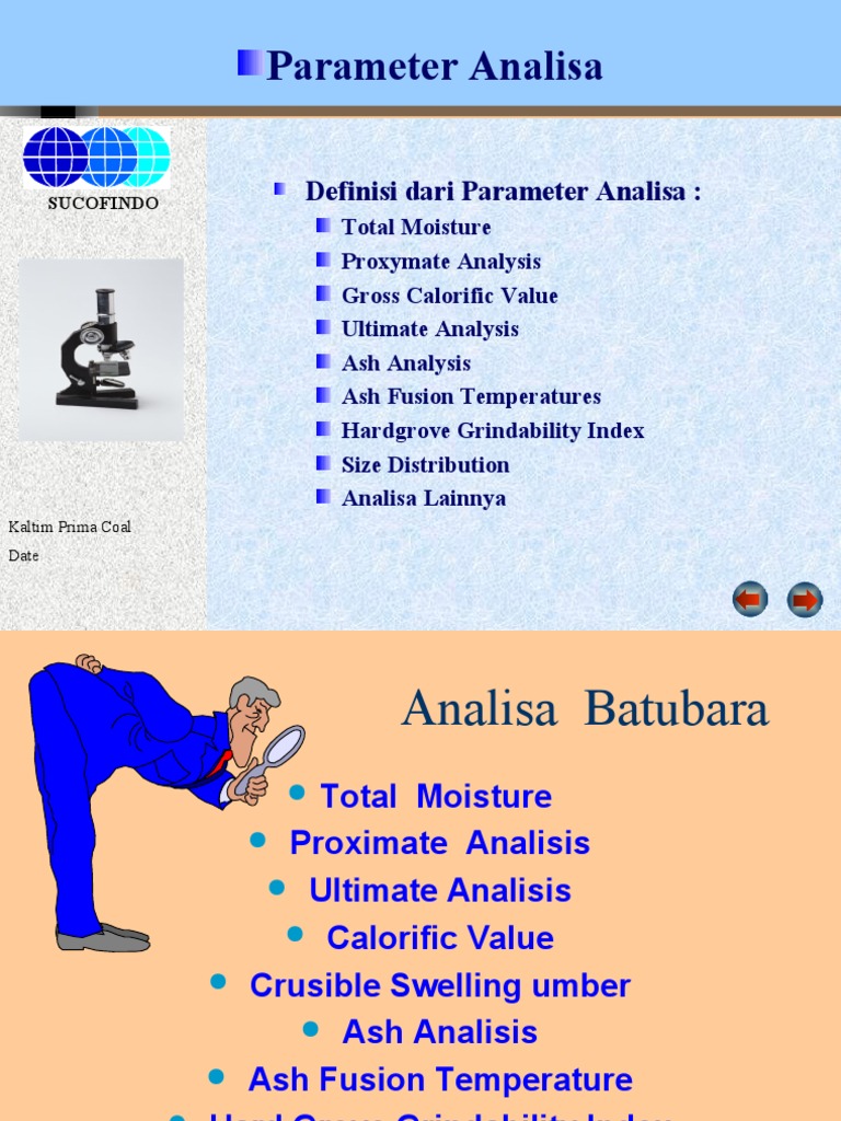 Coal Analysis Parameters Overview | PDF | Thermodynamics | Nature