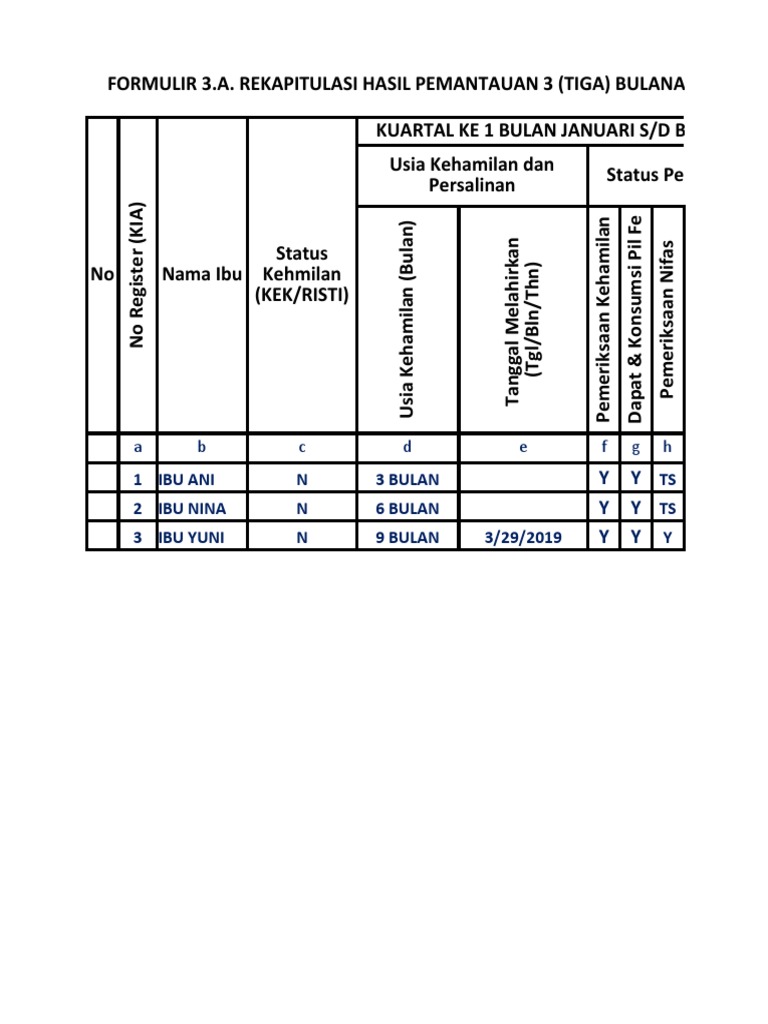 Formulir 3.a. Rekapitulasi Hasil Pemantauan 3 (Tiga) Bulanan Bagi Ibu ...