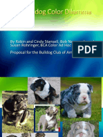 AKC BCA Bulldog Standard Revision