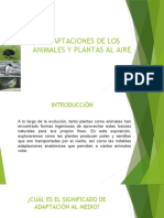 Presentacion Adaptaciones de Los Animales y Plantas Al Aire