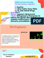 GENETICA JAIME DIASPOSITIVAS - pptx1111