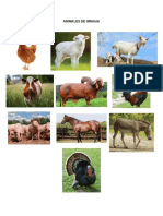 ANIMALES DE GRANJA