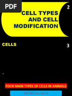 Cell Types and Cell Modification