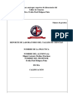 Formato de Reporte de Practica