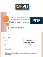 Aula - 8 - Cir Cavd AbdominalSIS