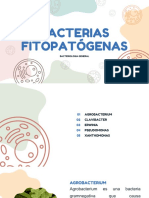 Presentacion de Bacter. Equipo 2