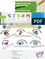 Metodologia Steam