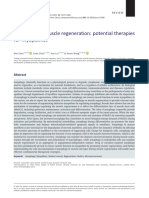 J Cachexia Sarcopenia Muscle - 2022 - Chen - Autophagy in Muscle Regeneration Potential Therapies For Myopathies