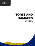 2021 Blue Notes Civil Law - Torts