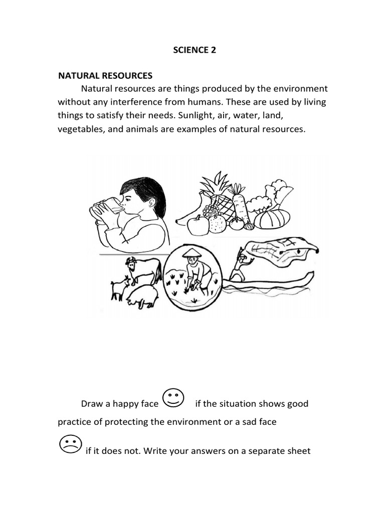Natural Resources for Grade 2 | PDF | Renewable Resources | Resource