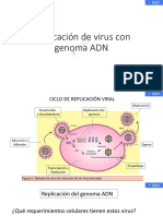 Clase 2 Adn