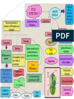 Aparato de Golgi y Ribosomas