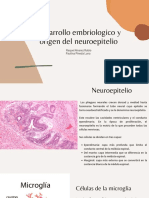 Desarrollo Embriologico y Origen Del Neuroepitelio