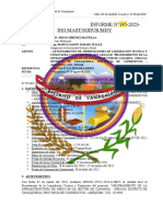 Informe N°1xx Observaciones Canahua