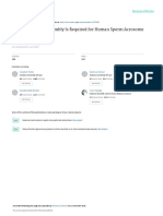 2002 - SNARE Complex Assembly Is Required For Human Sperm Acrosome Reaction