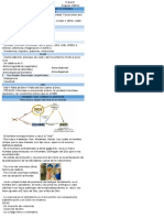 Religión - Prueba 1 (19.04)