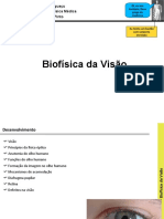 Aula 1 - Biofísica Da Visão