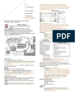 Dermatosis Por Ectoparásitos