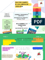 Grafico Esquema de Aprendizaje Infografico Colorido