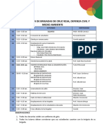 Juramentacion Brigadas 31-03