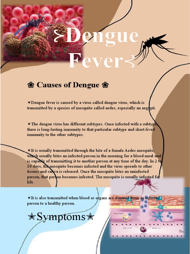 Dengue Pdf Immunology Clinical Medicine