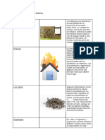 Maximiliano Perez Perez - Evaluación Nº2 Tecnología