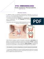 Endocrinología II