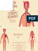 Visión general del cuerpo humano (1)