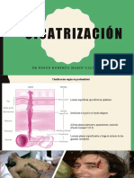 CICATRIZACIÓN