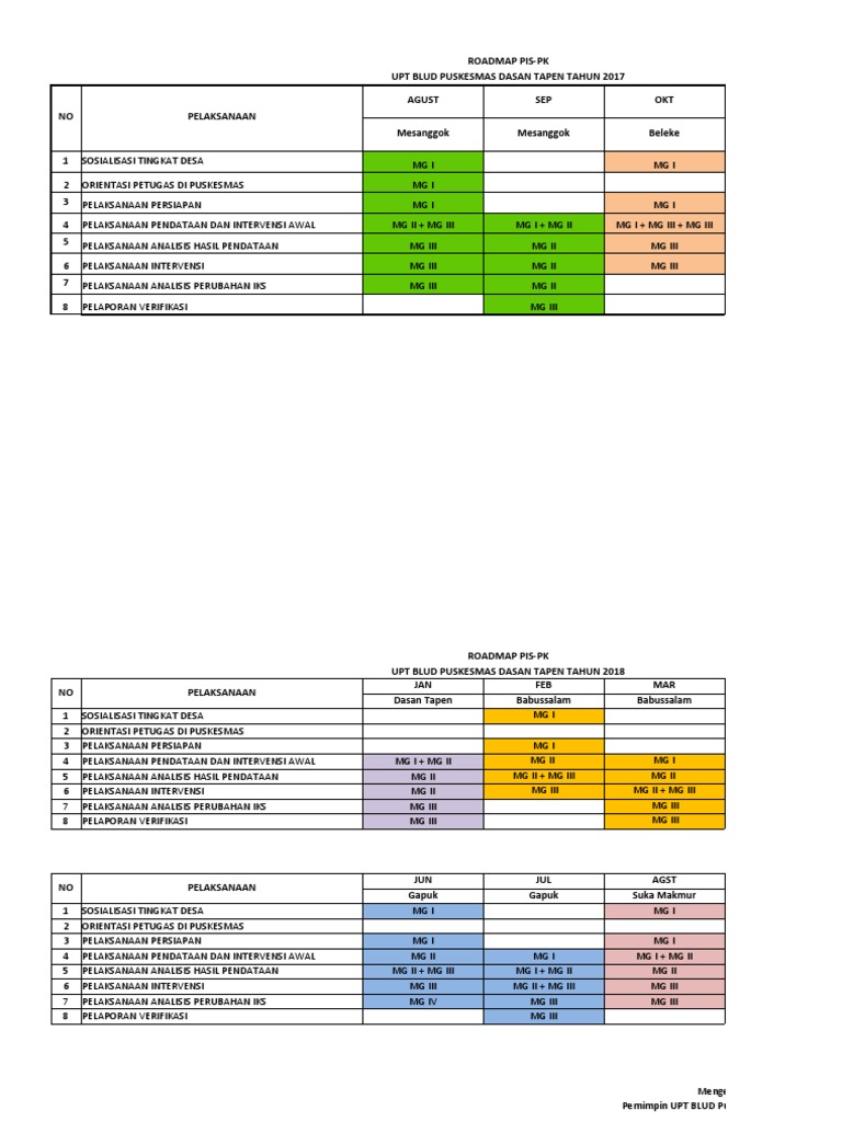 Roadmap PIS-PK Puskesmas Dasan Tapen | PDF