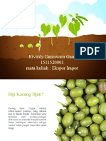 Rivaldy Daniswara Gani - 1511520001 - Biji Kacang Hijau