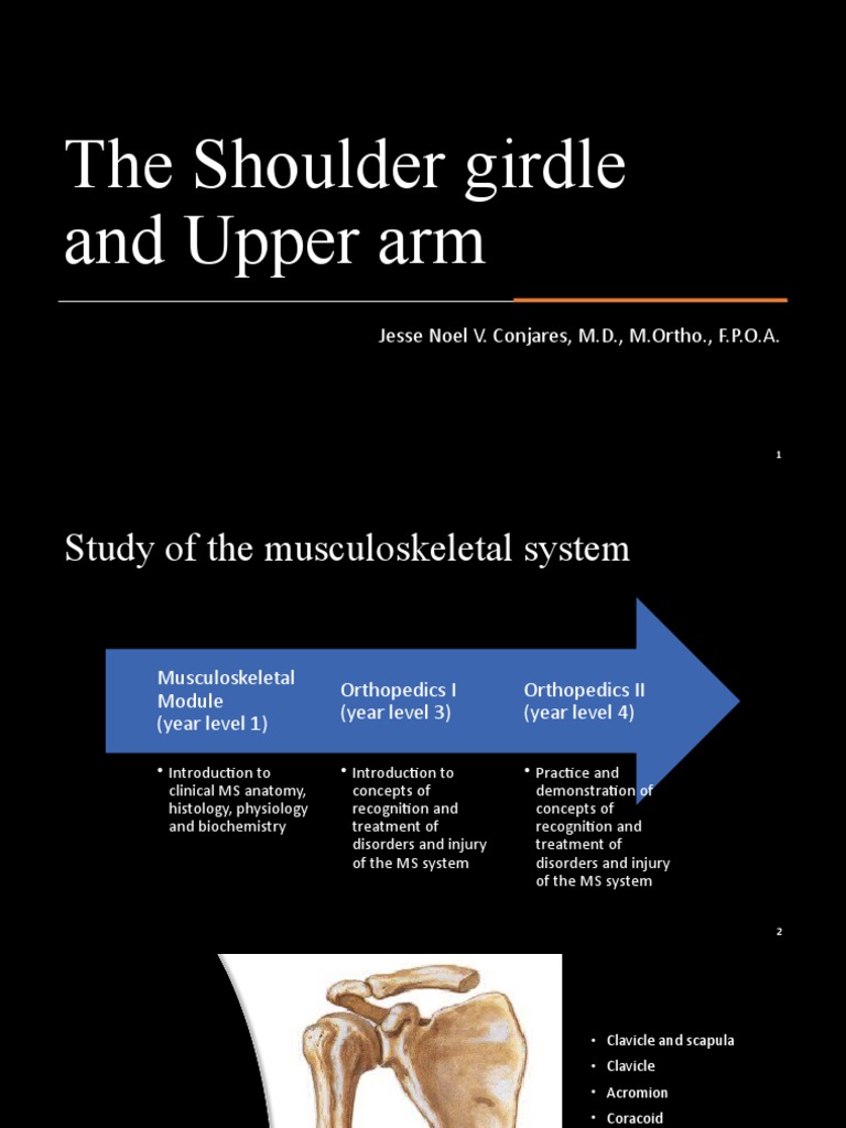Lec 2 The Shoulder Girdle and Upper Arm 2020 | PDF | Elbow | Arm